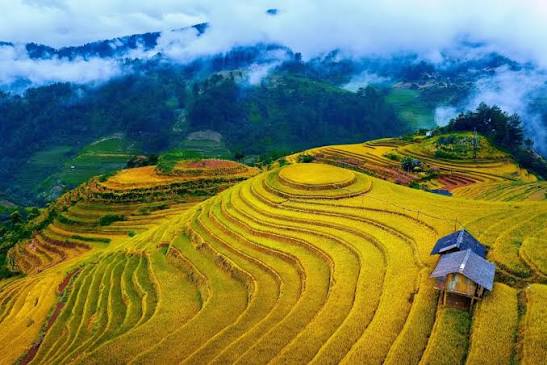 NINH BÌNH TOUR DAILY HOA LƯ - TAM CỐC - HANG MÚA